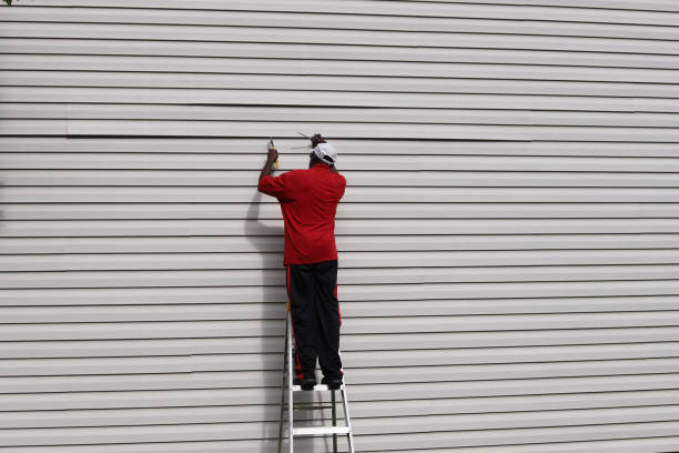 Best Historical Building Siding Restoration  in Lake Orion, MI