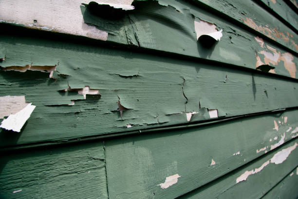 Best Siding Painting and Refinishing  in Lake Orion, MI