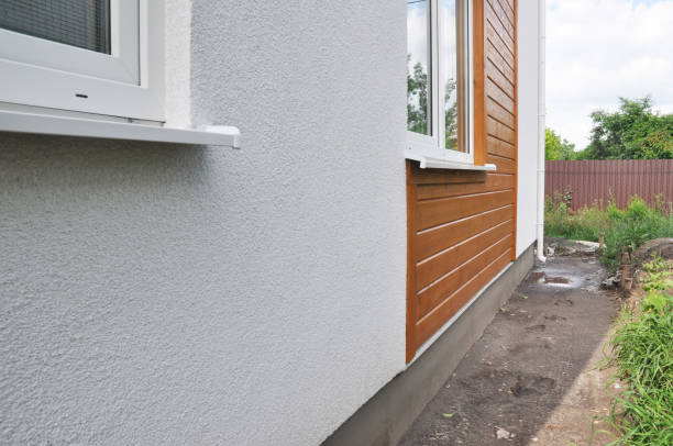 Best Aluminum Siding Installation  in Lake Orion, MI