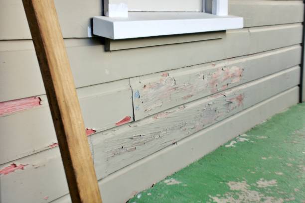 Best Siding for New Construction  in Lake Orion, MI